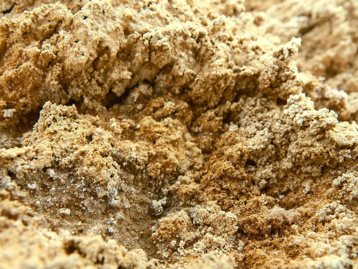 Edaphology soil science Puff solonchak brown saline crust salt incrustation in sand-clay desert argillaceous desert regolith Iran Edaphology soil science Puff solonchak brown saline crust salt incrustation in sand-clay desert argillaceous desert regolith Iran